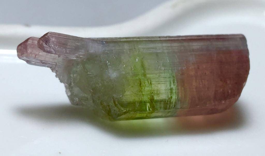 Paprok Tourmaline Bunch Specimen