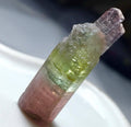 Paprok Tourmaline Bunch Specimen