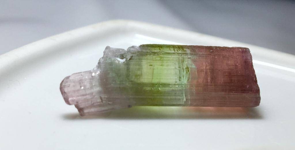 Paprok Tourmaline Bunch Specimen