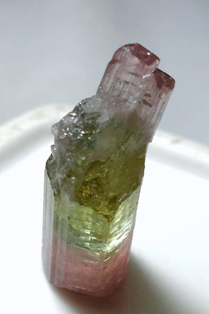 Paprok Tourmaline Bunch Specimen