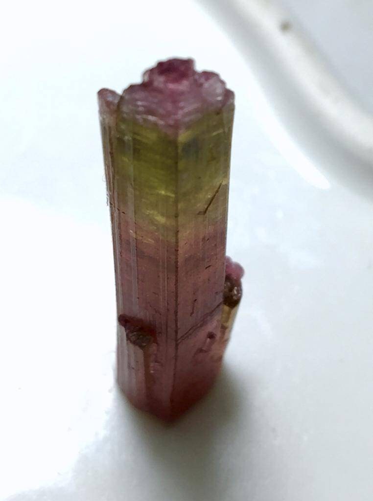 Watermelon Tourmaline Crystal