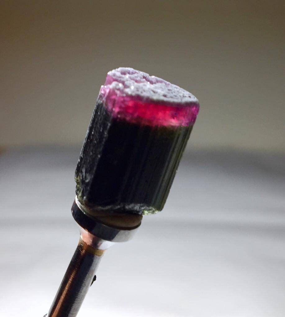 23.3 Carat Bi Colour Tourmaline Crystal
