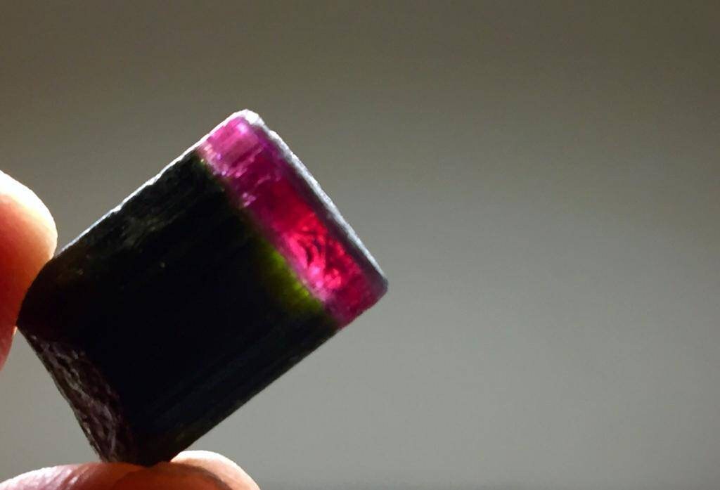23.3 Carat Bi Colour Tourmaline Crystal