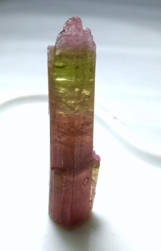 Watermelon Tourmaline Crystal