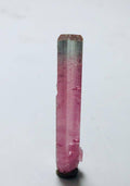 6.1 Carat Bi Colour Tourmaline Crystal