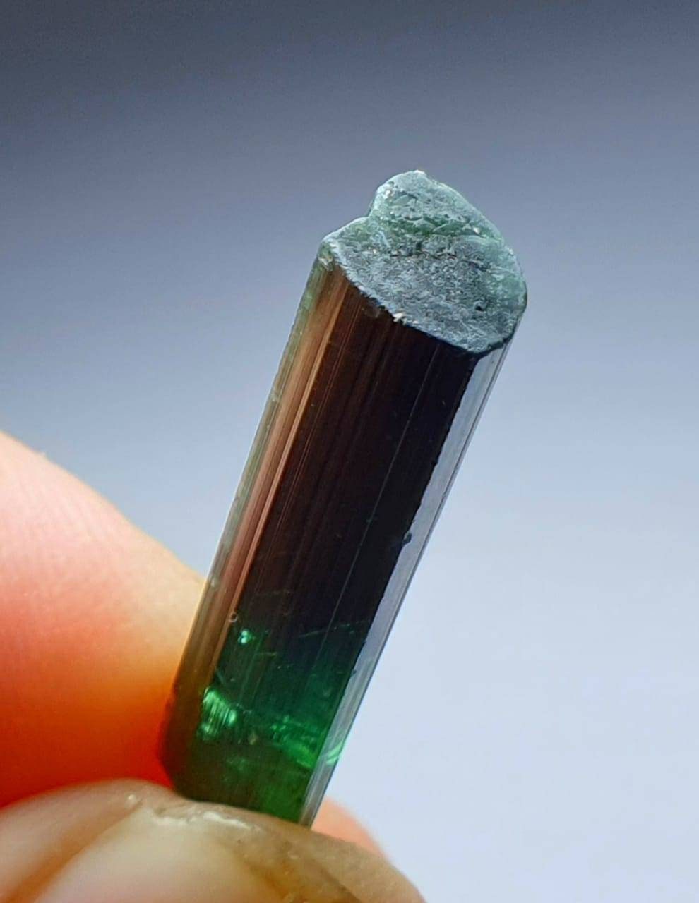 Double Termination Tourmaline Crystal