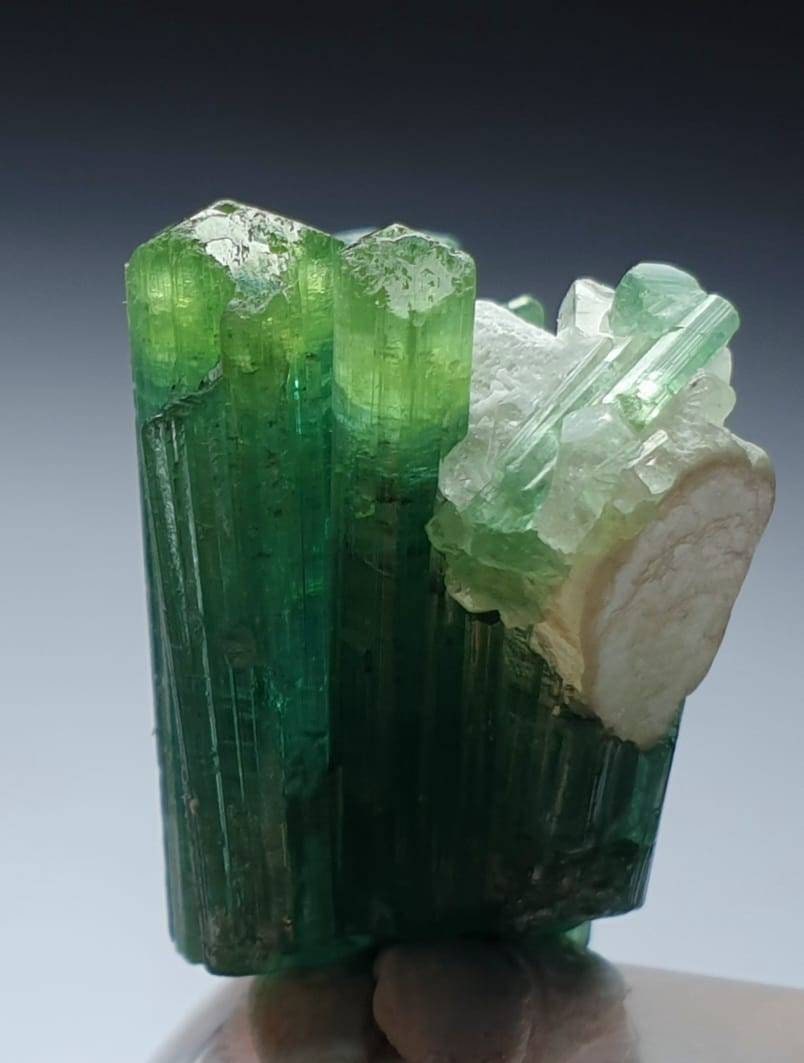 Green Tourmaline Specimen with Quartz – Afghanistan Peche Mine