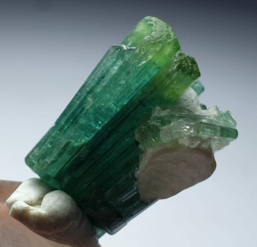 Green Tourmaline Specimen with Quartz – Afghanistan Peche Mine