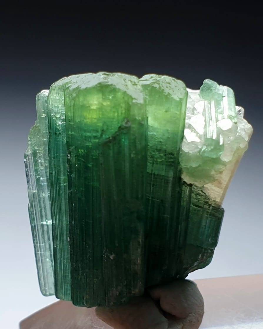 Green Tourmaline Specimen with Quartz – Afghanistan Peche Mine