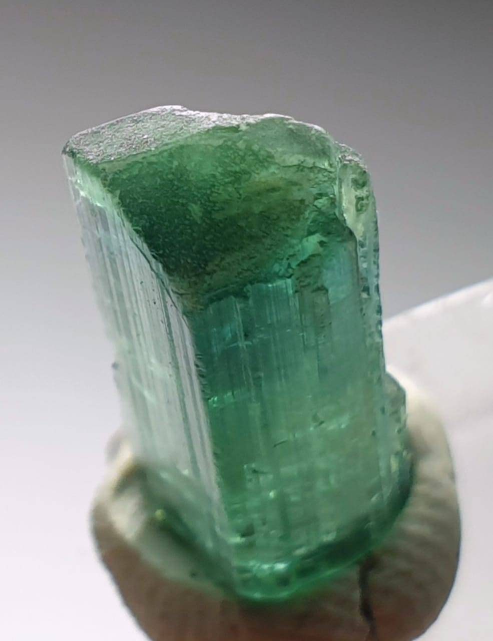 Bi Colour Tourmaline Crystal