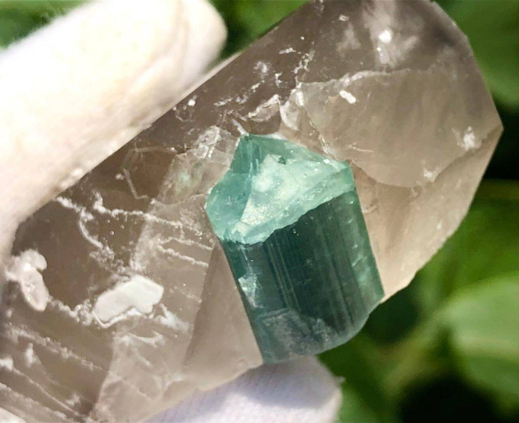Blue Cap Tourmaline Crystal with Qurtaz Specimen