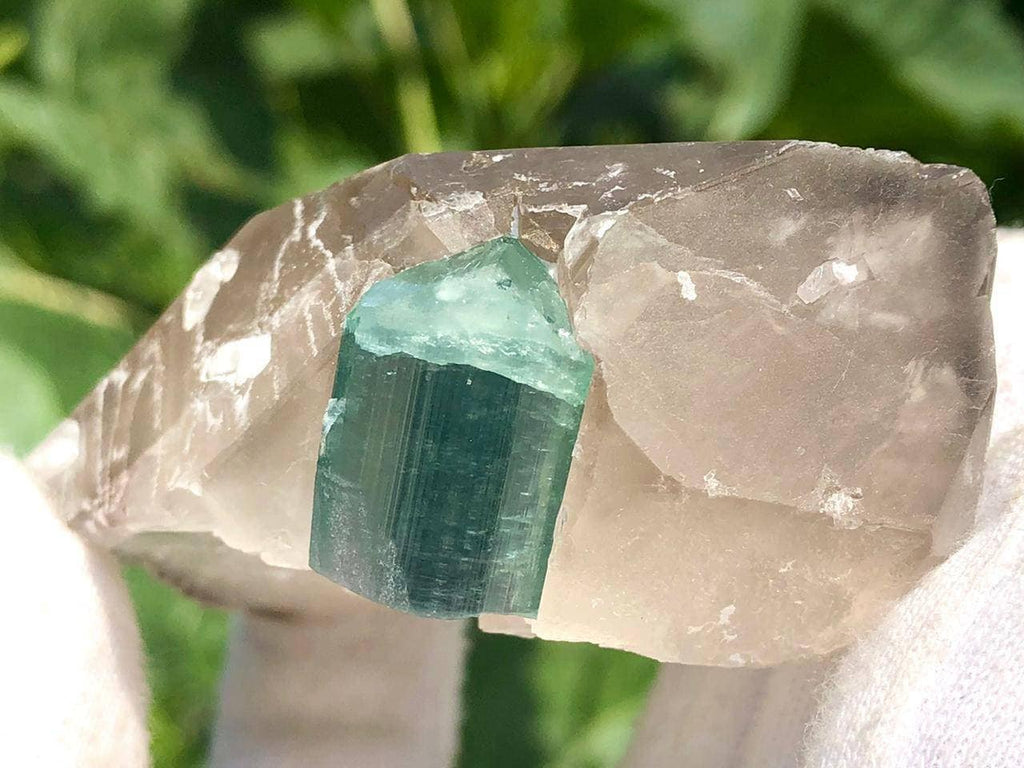 Blue Cap Tourmaline Crystal with Qurtaz Specimen
