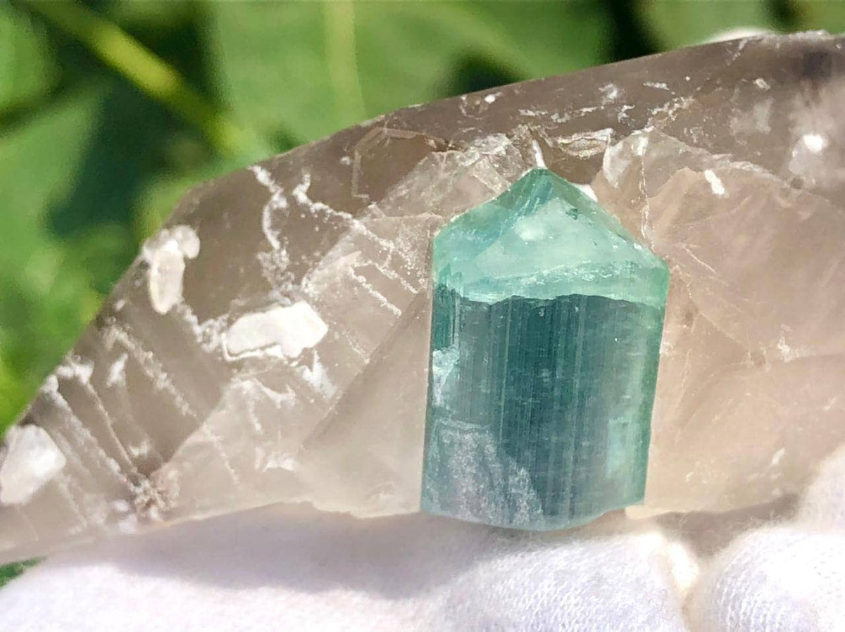 Blue Cap Tourmaline Crystal with Qurtaz Specimen