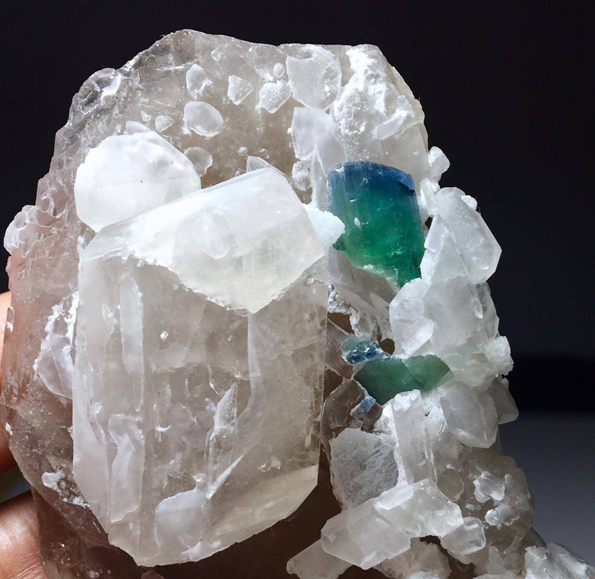Tourmaline in Smokey Quartz