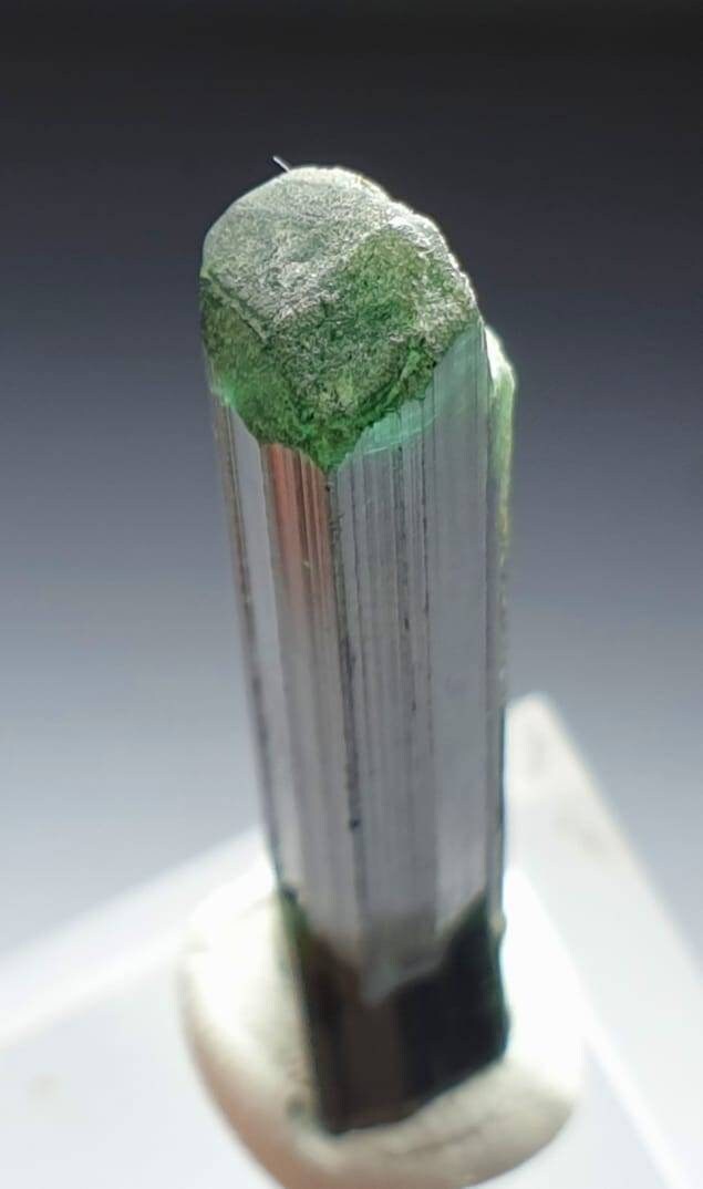 Bi Colour Tourmaline Crystal