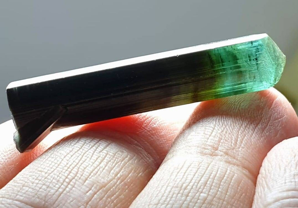 Bi Colour Tourmaline Crystal