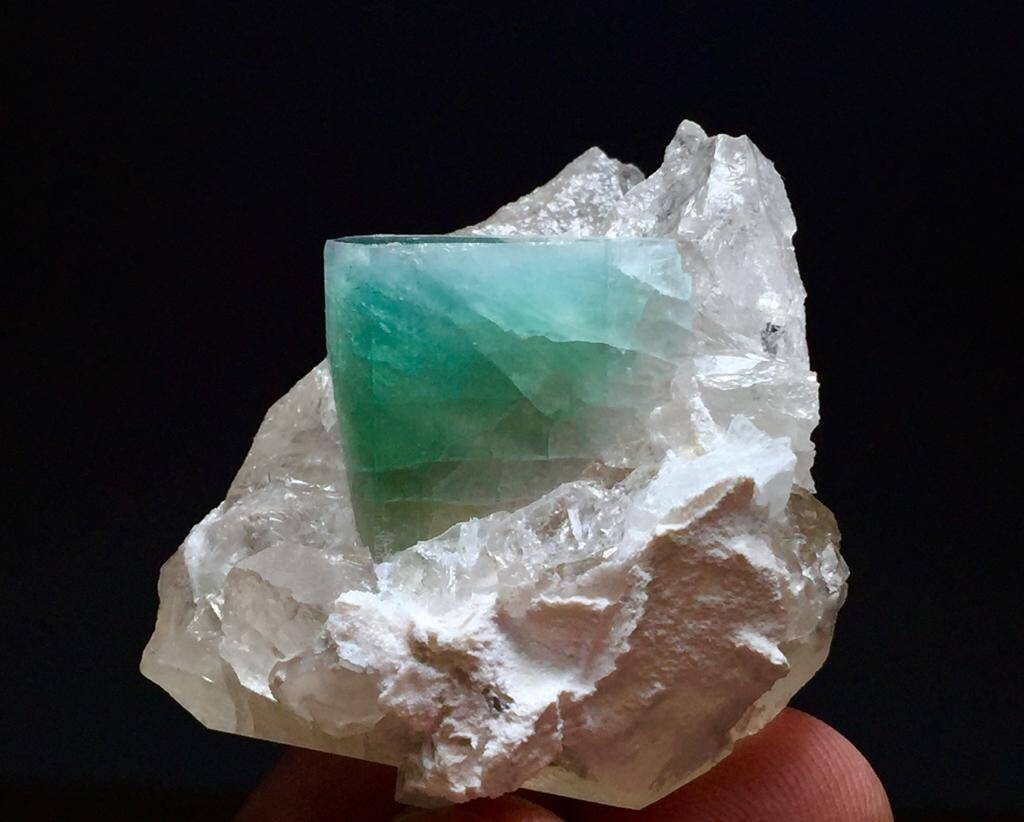 Bicolor Tourmaline Crystal on Quartz Specimen