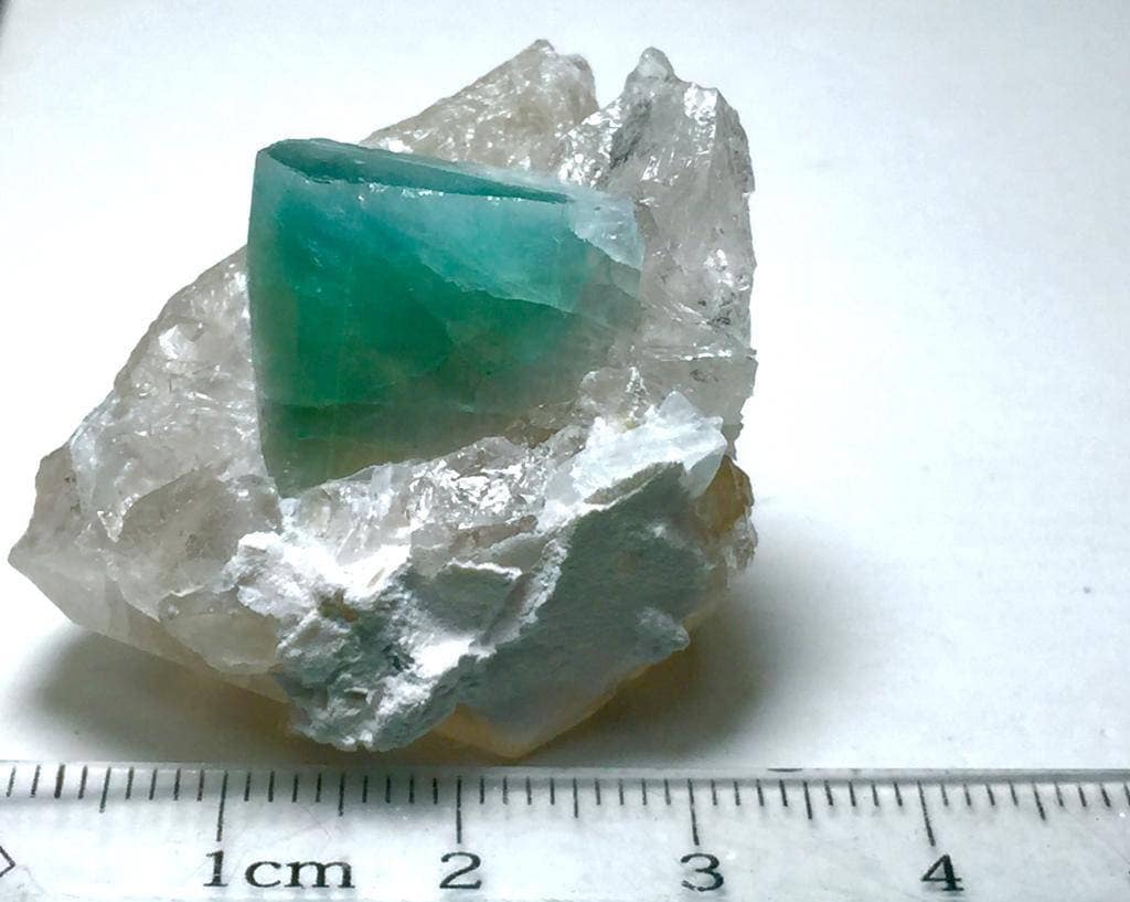 Bicolor Tourmaline Crystal on Quartz Specimen