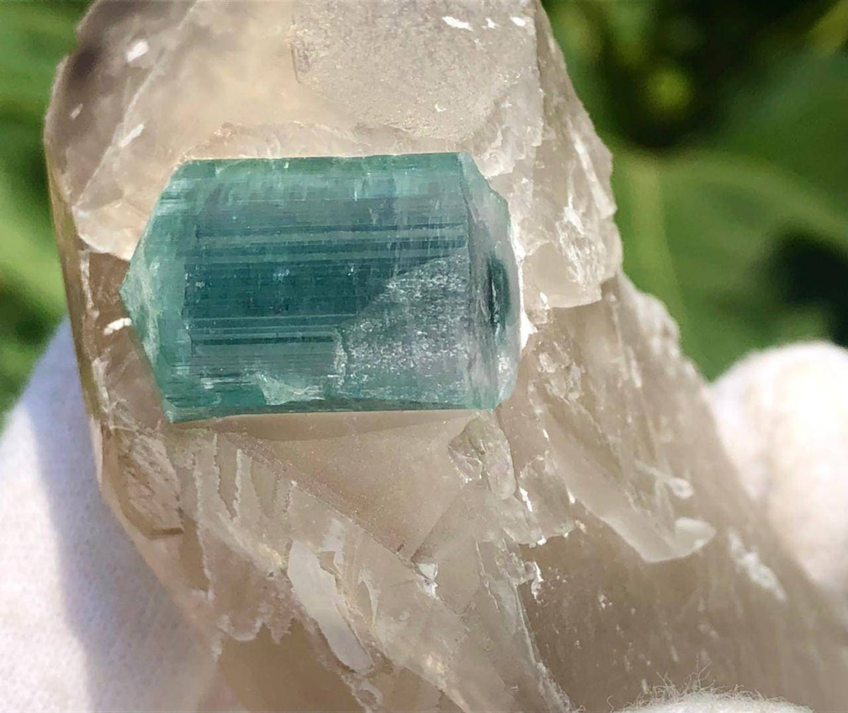 Blue Cap Tourmaline Crystal with Qurtaz Specimen