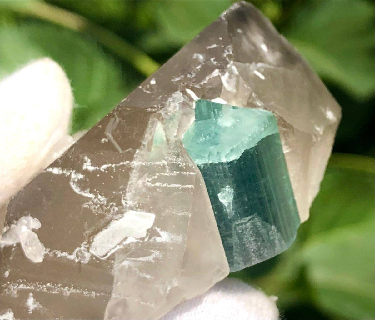 Blue Cap Tourmaline Crystal with Qurtaz Specimen