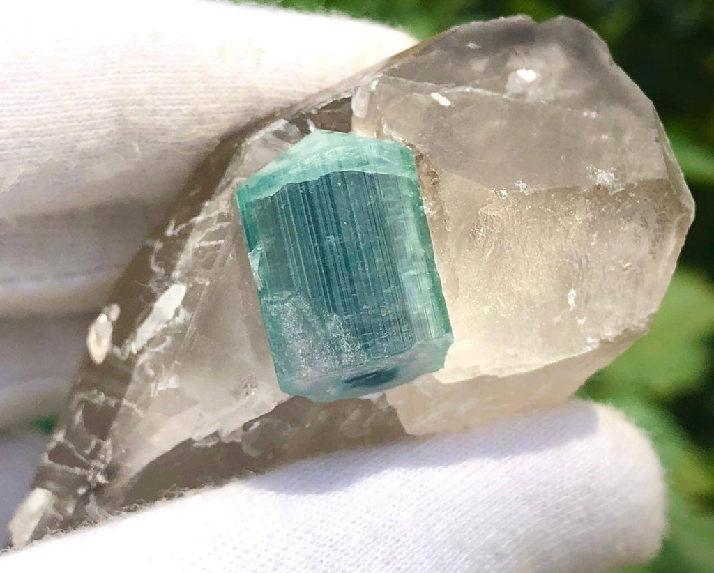 Blue Cap Tourmaline Crystal with Qurtaz Specimen