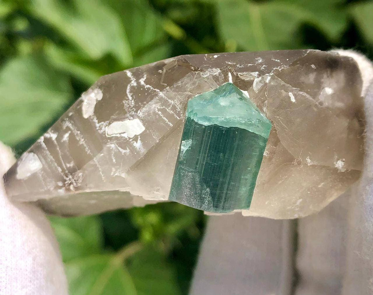 Blue Cap Tourmaline Crystal with Qurtaz Specimen