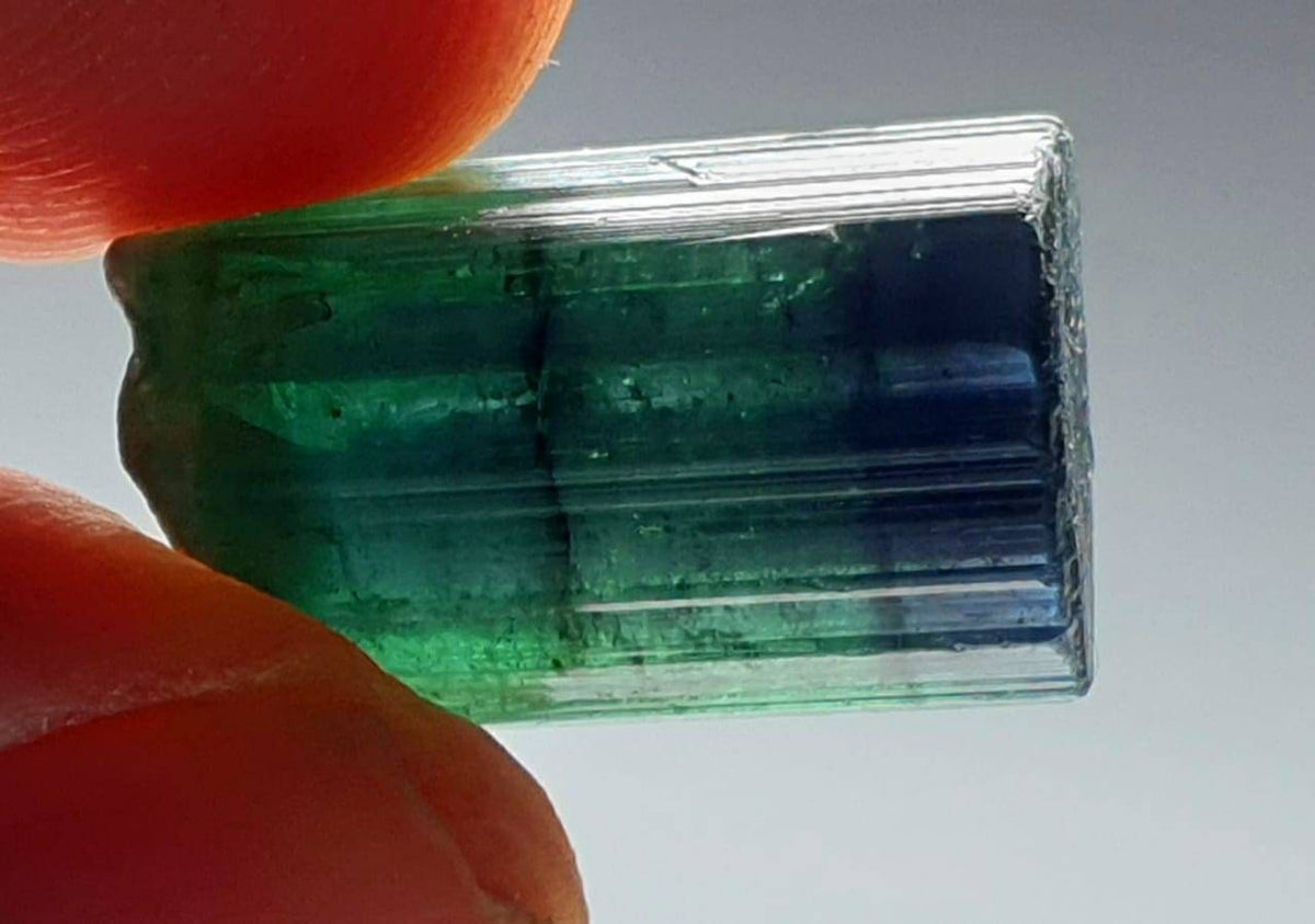 Bi Color Tourmaline Crystal