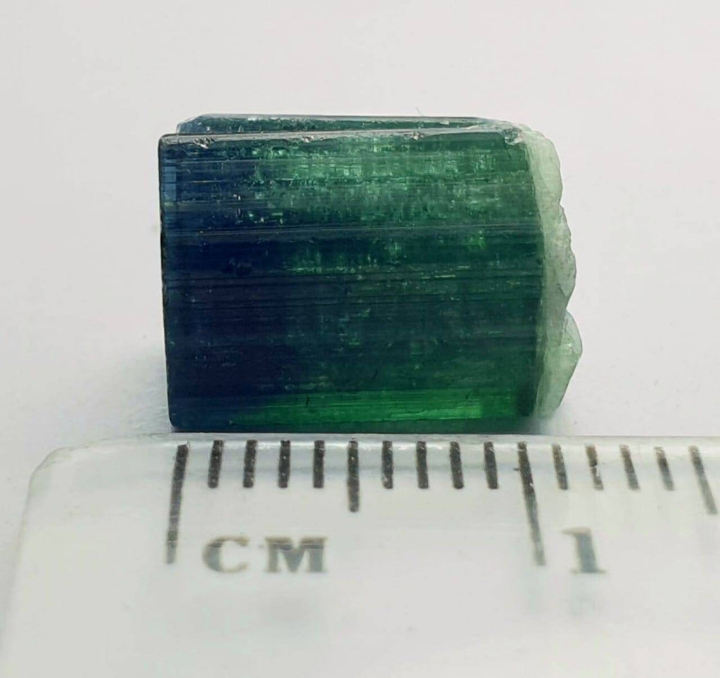 Bi Color Tourmaline Crystal