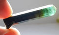 Bi Colour Tourmaline Crystal