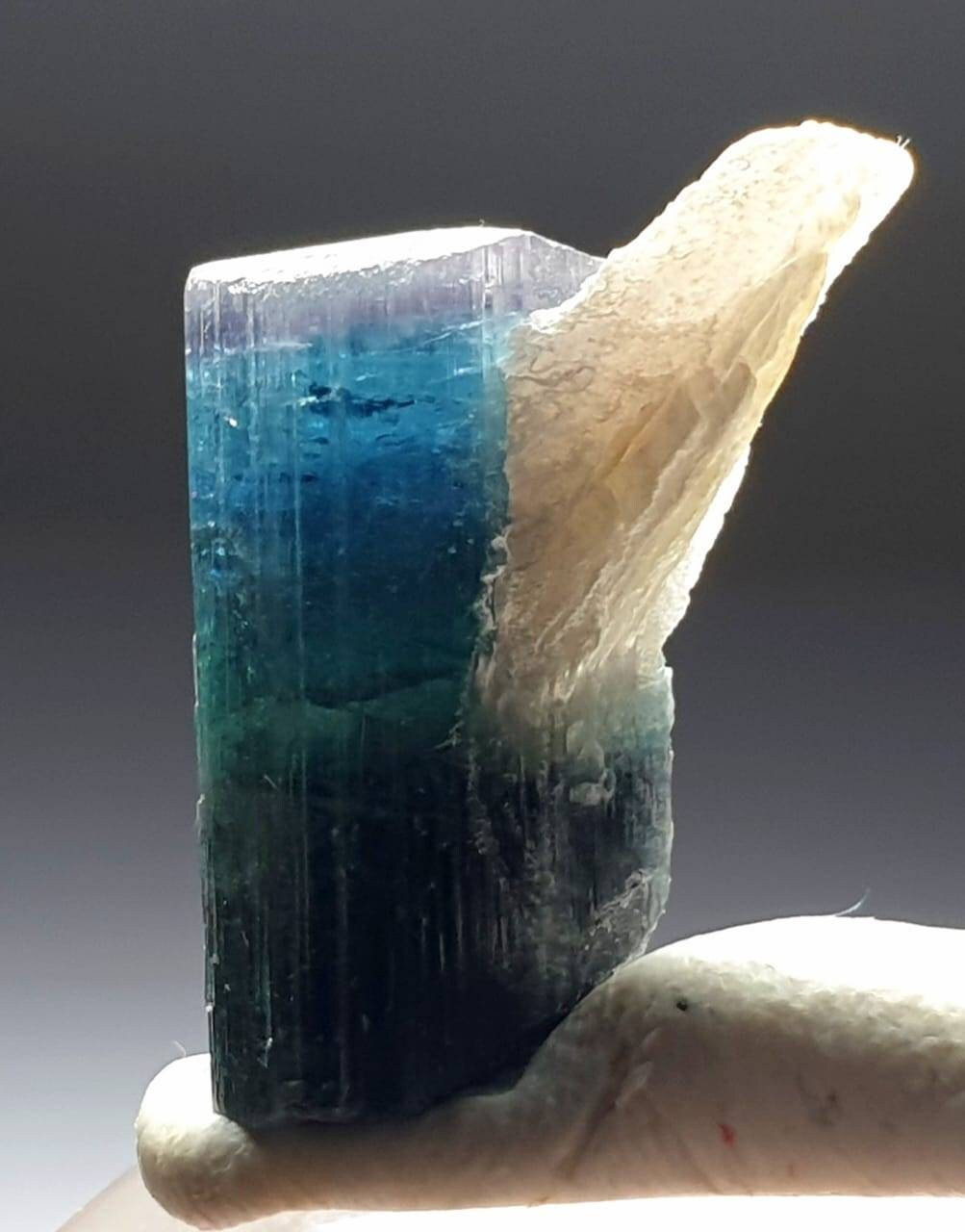 Blue Cap Tri Color Tourmaline Specimen, Afghanistan Peche Mine