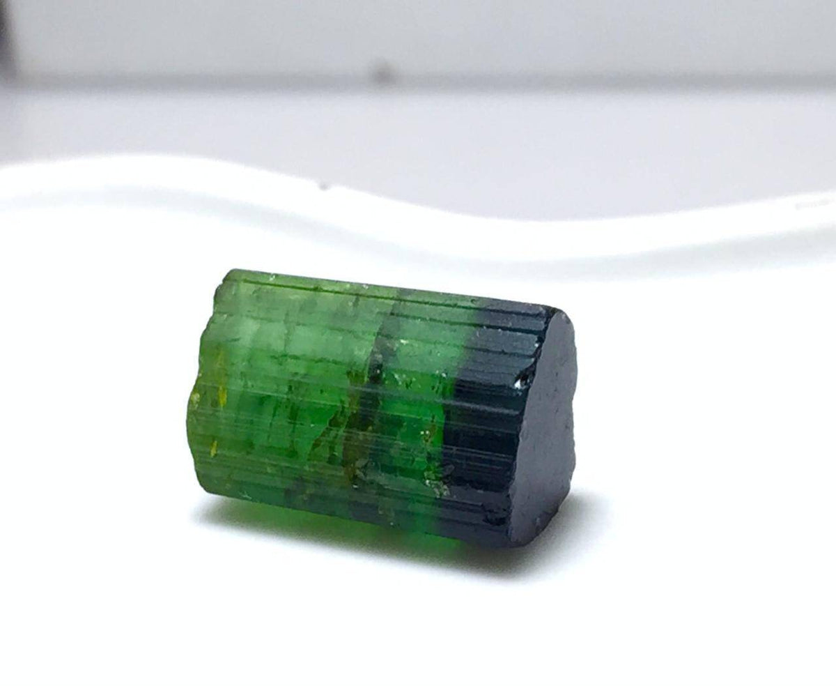 Bi Color Tourmaline Crystal