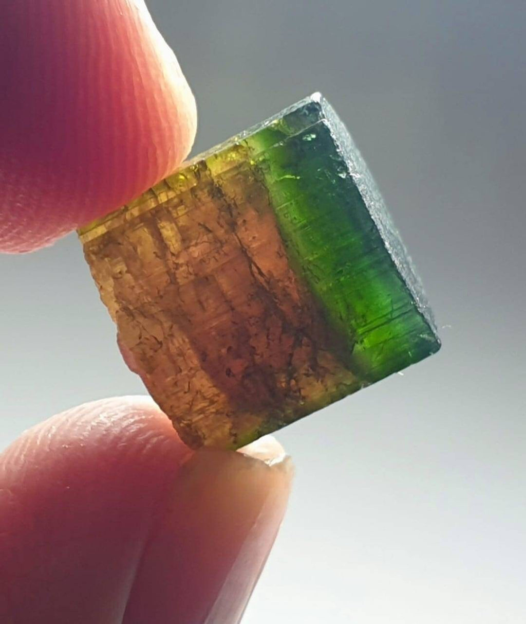 Watermelon Tourmaline Crystal