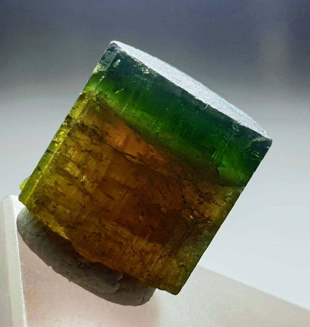 Watermelon Tourmaline Crystal