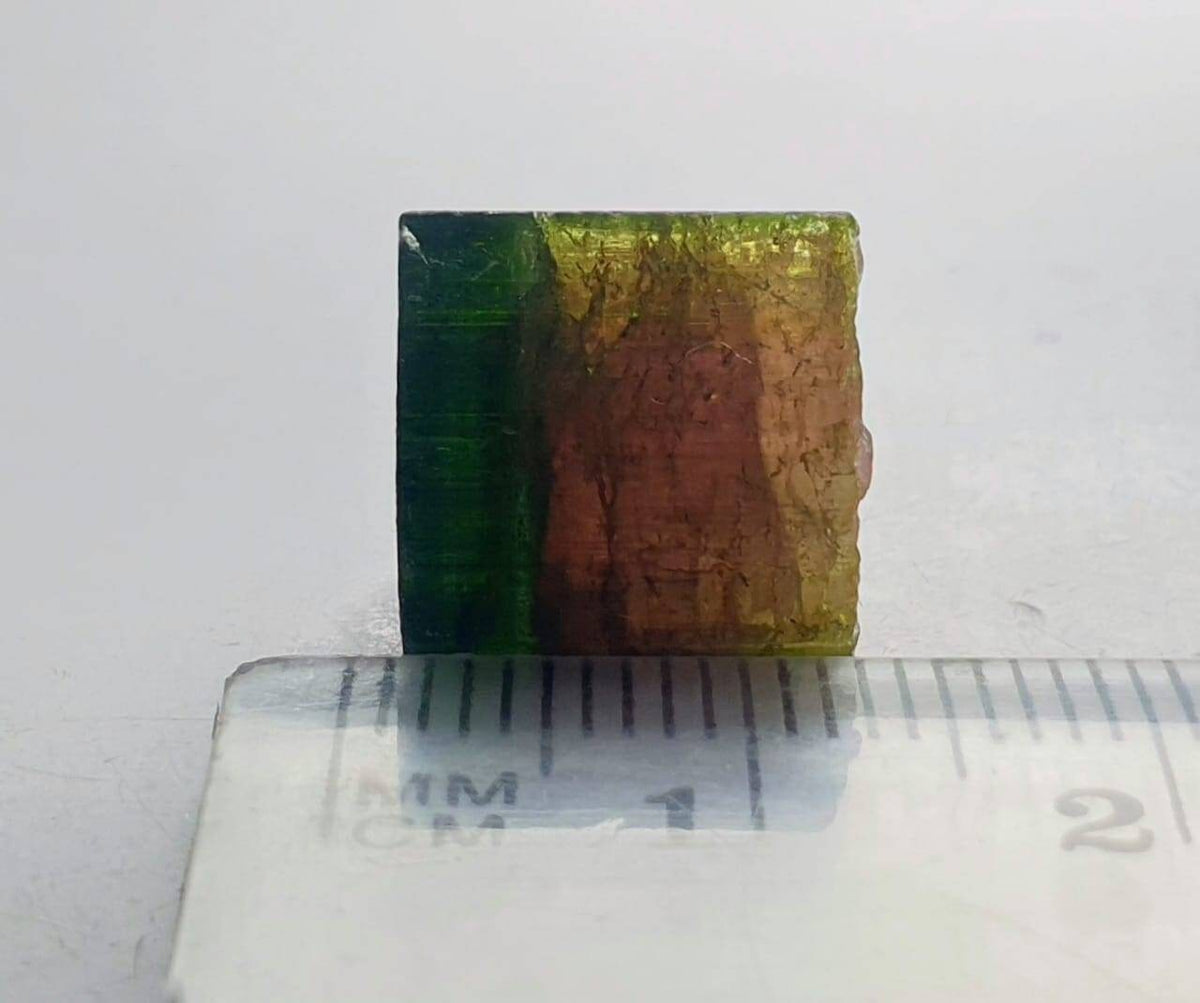 Watermelon Tourmaline Crystal