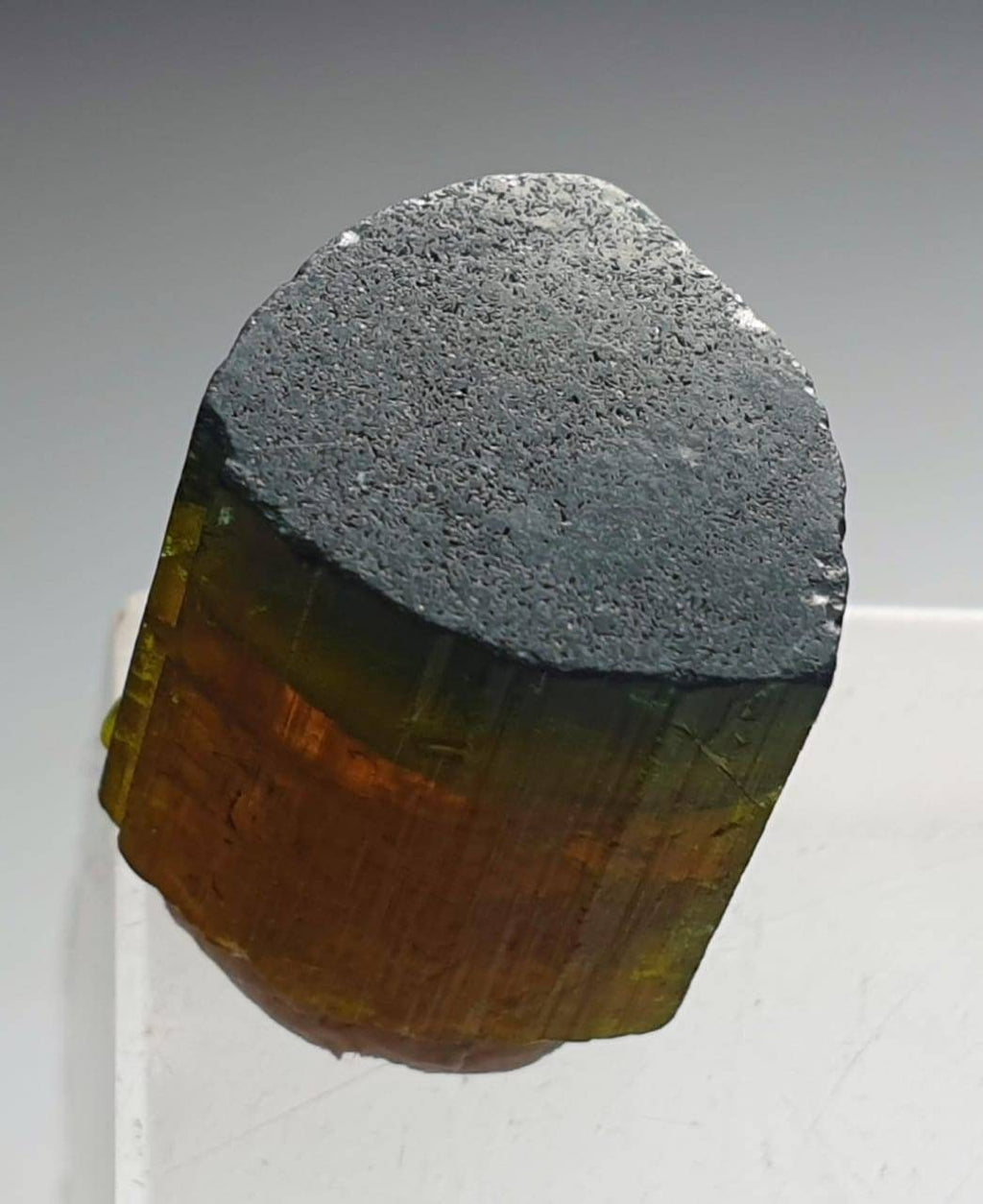 Watermelon Tourmaline Crystal