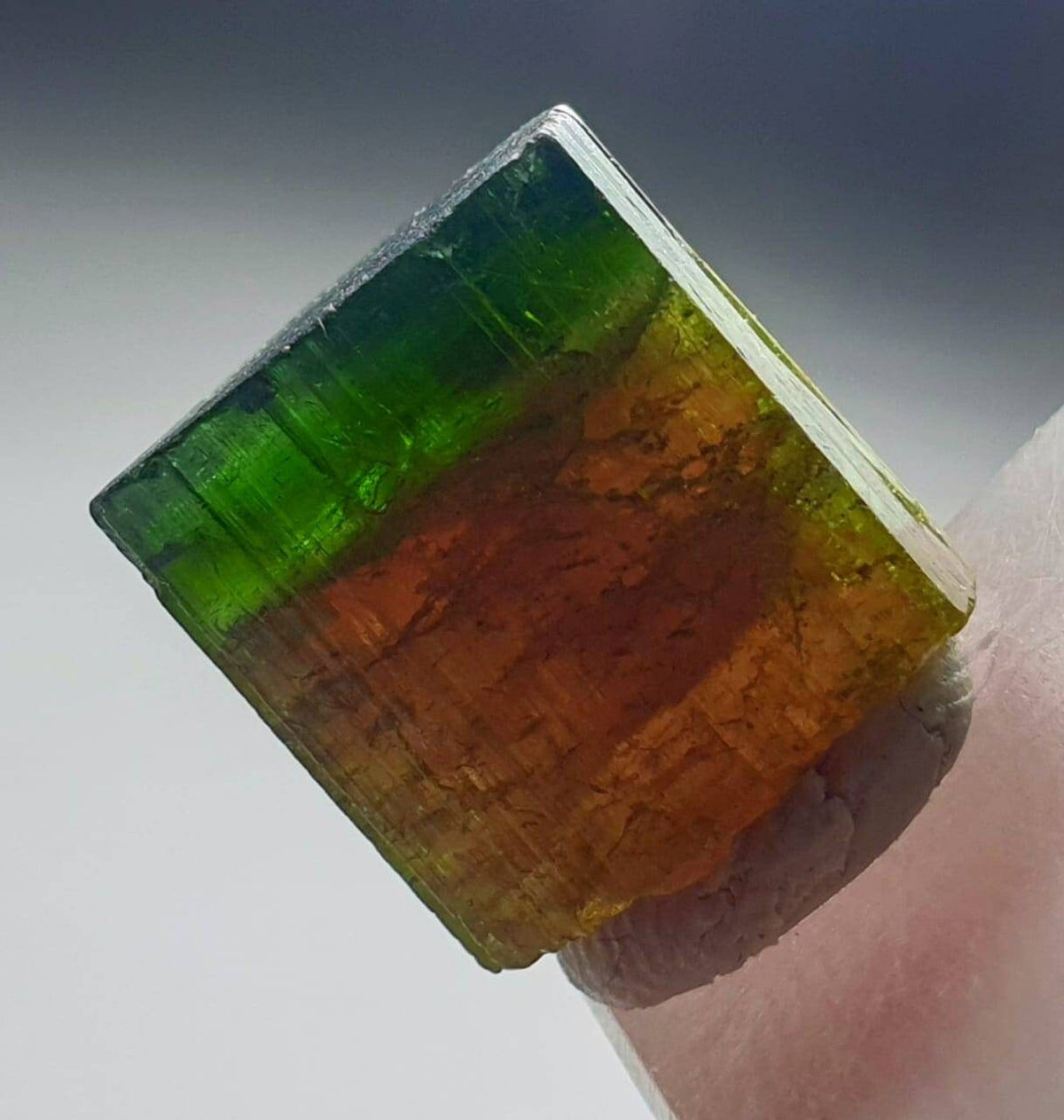 Watermelon Tourmaline Crystal