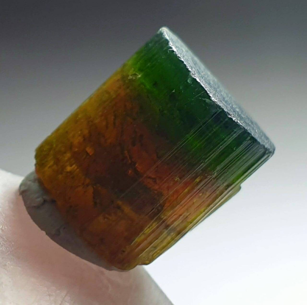 Watermelon Tourmaline Crystal