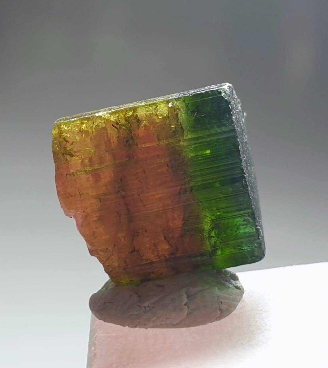 Watermelon Tourmaline Crystal