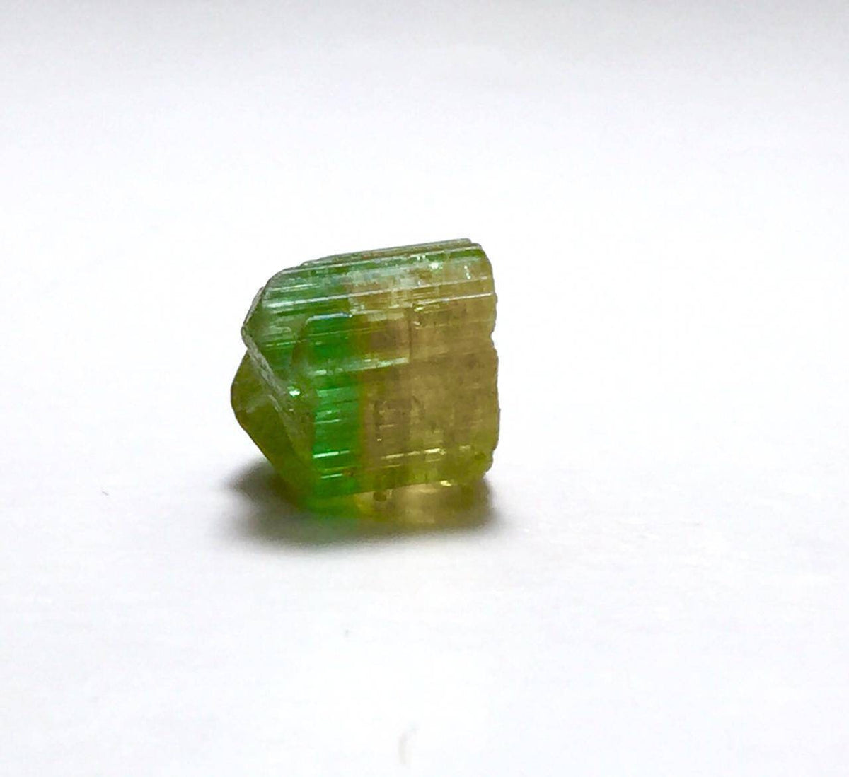 Bi Color Terminated Tourmaline Crystal