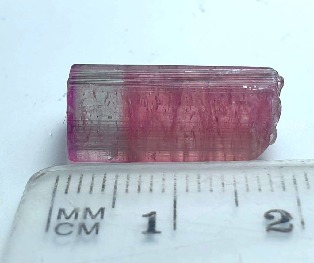 Bi Color Terminated Tourmaline Crystal