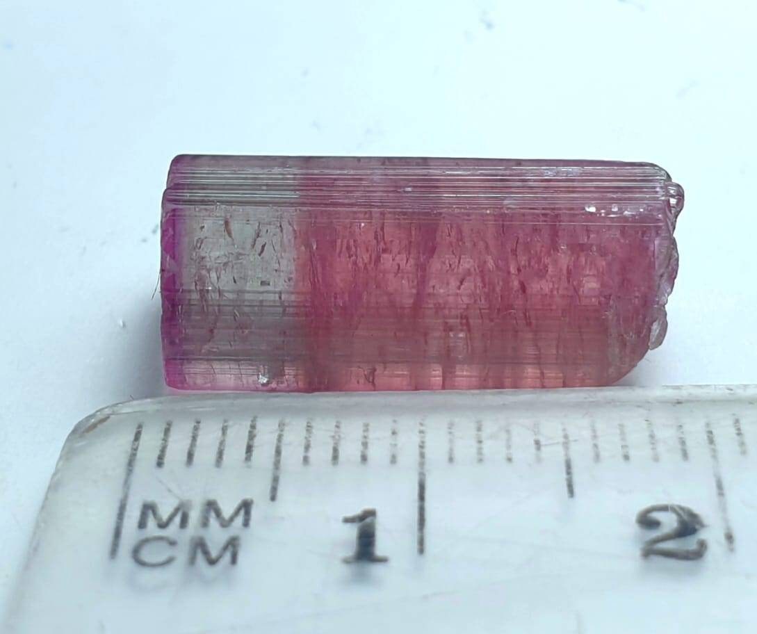 Bi Color Terminated Tourmaline Crystal
