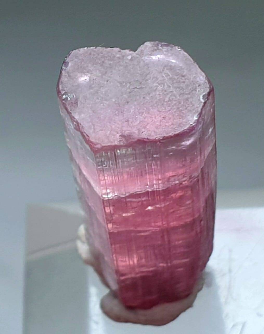 Bi Color Terminated Tourmaline Crystal