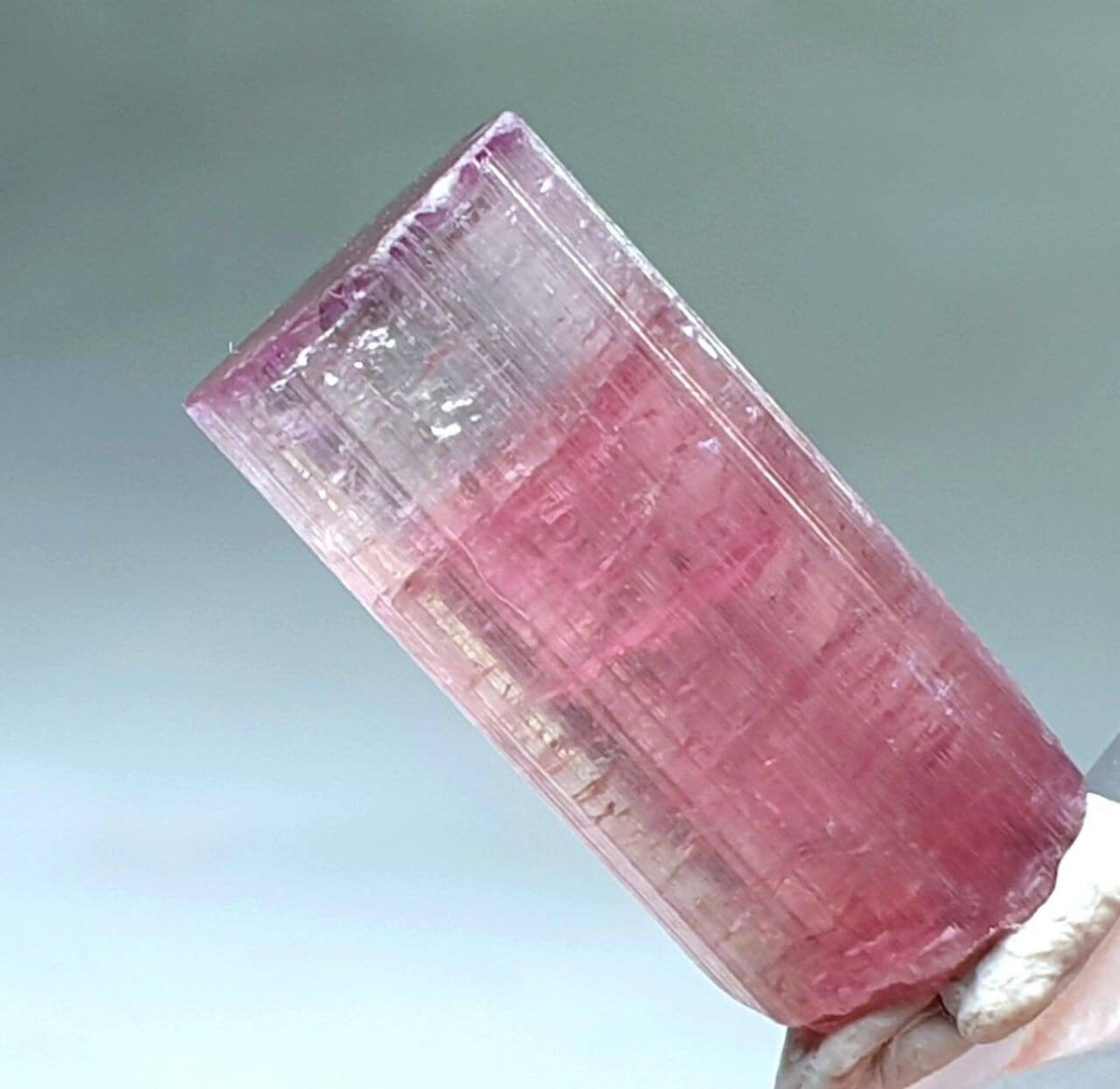 Bi Color Terminated Tourmaline Crystal