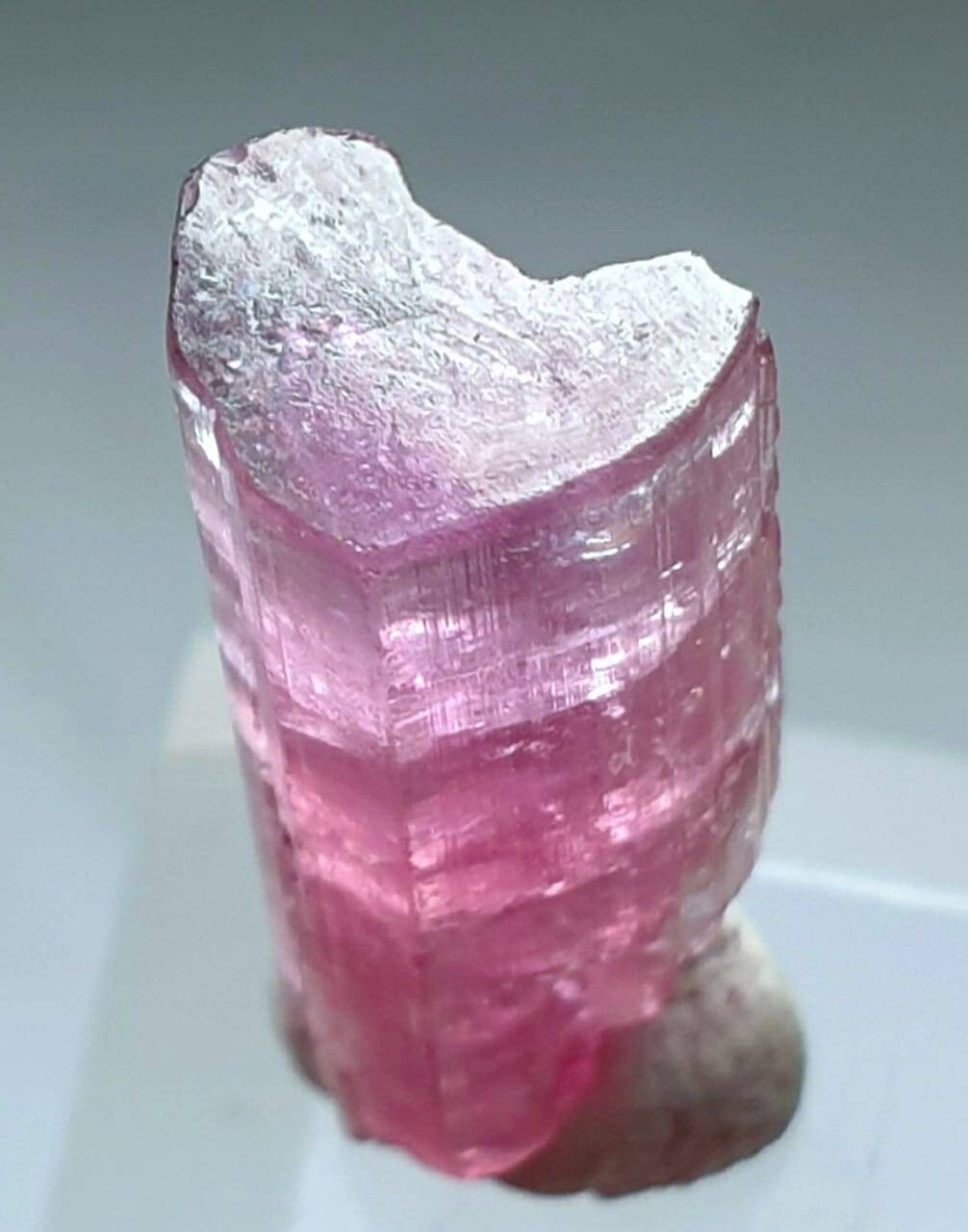 Bi Color Tourmaline Crystal