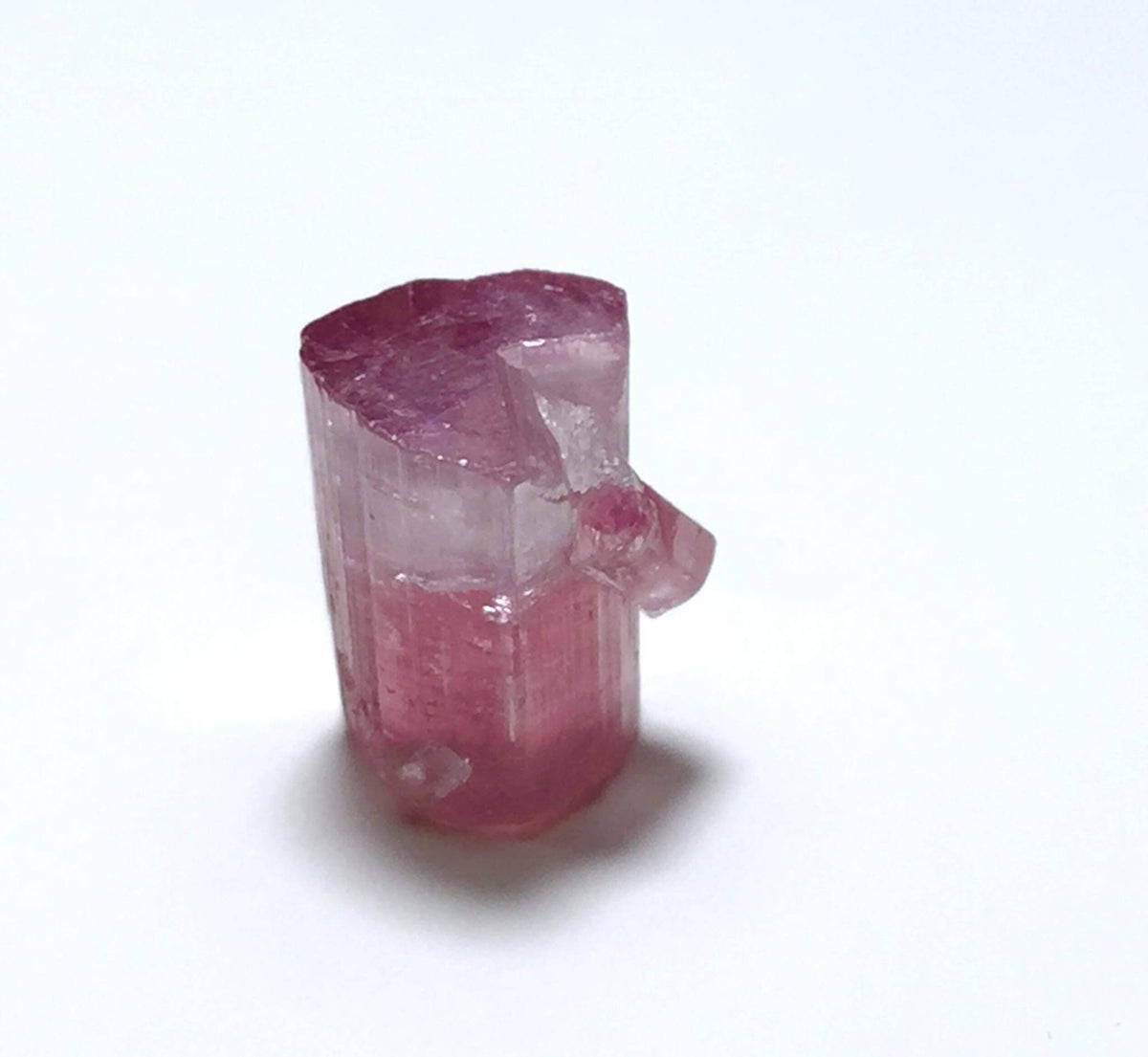 Bi Color Terminated Tourmaline Crystal