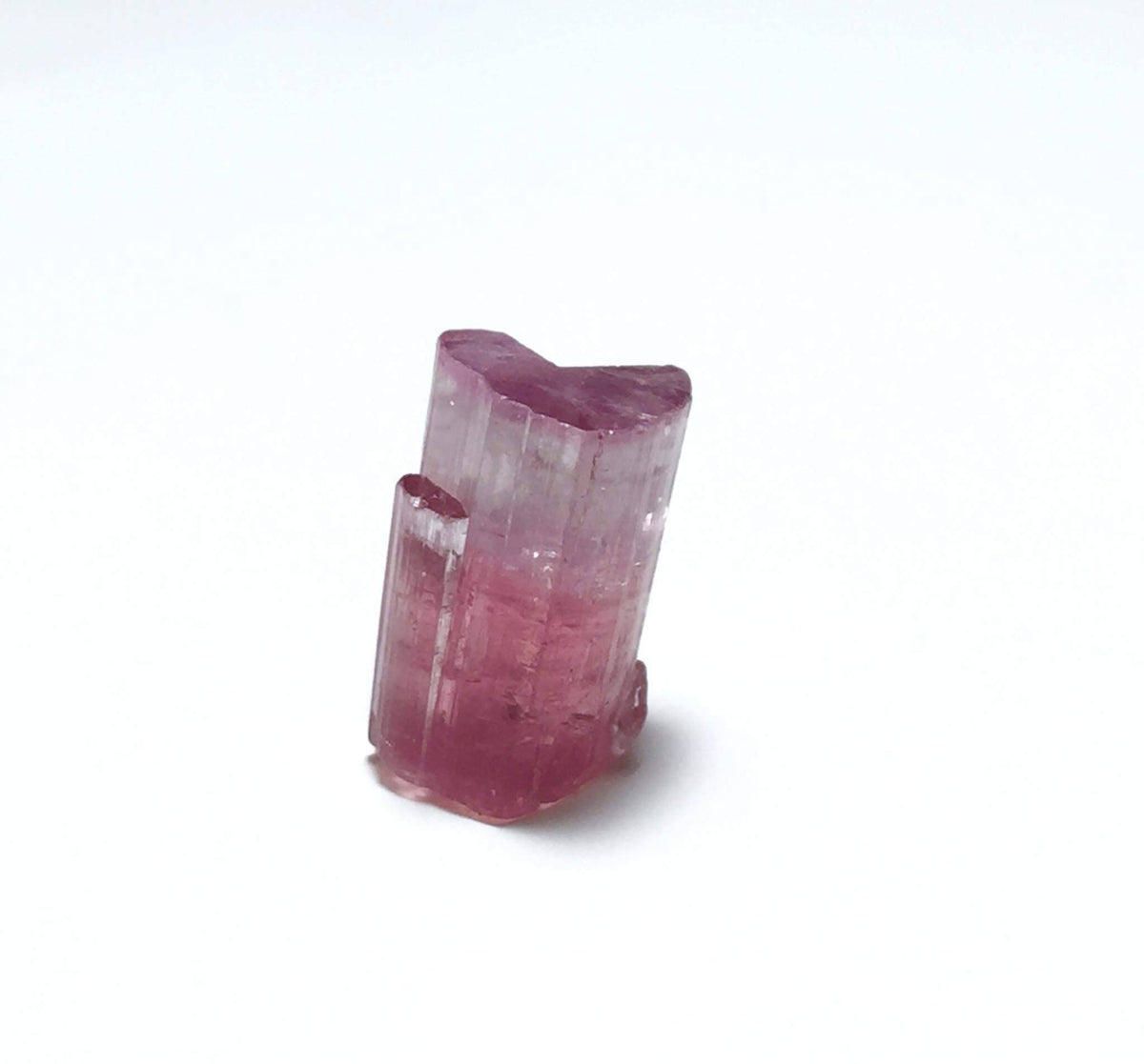 Bi Color Terminated Tourmaline Crystal