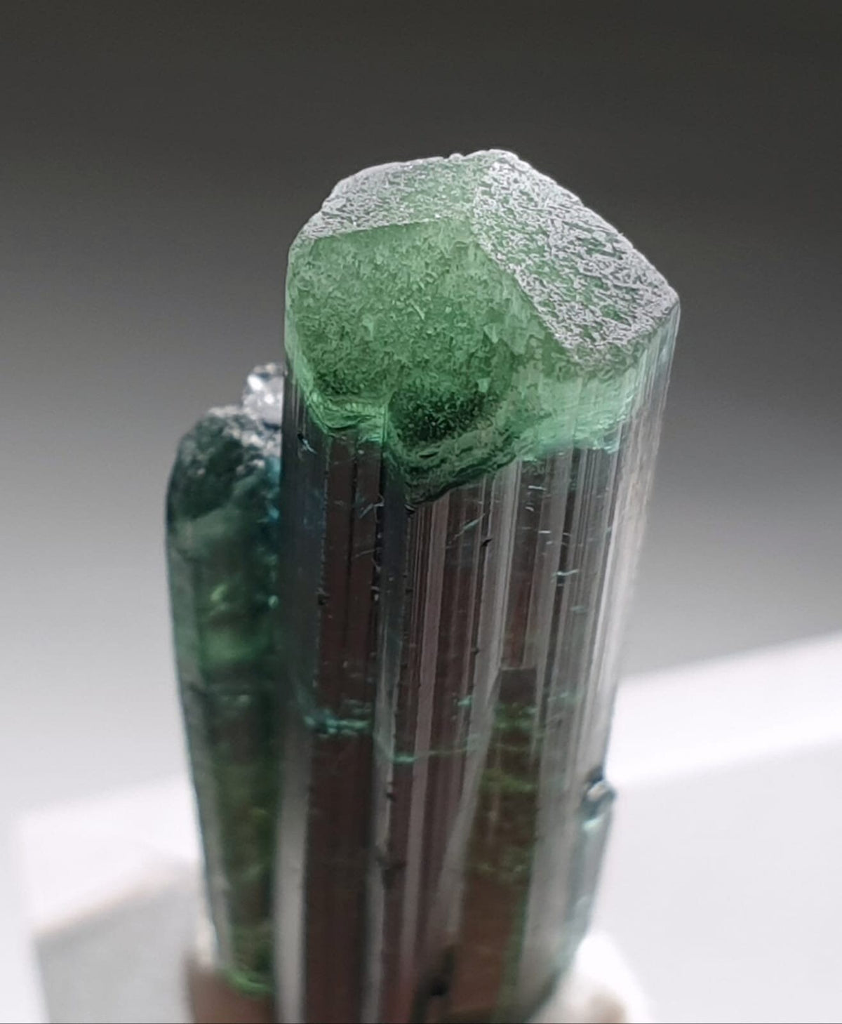 Indicolite Bi Color Terminated Tourmaline Crystal