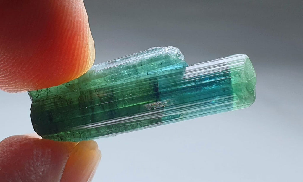 Indicolite Bi Color Terminated Tourmaline Crystal