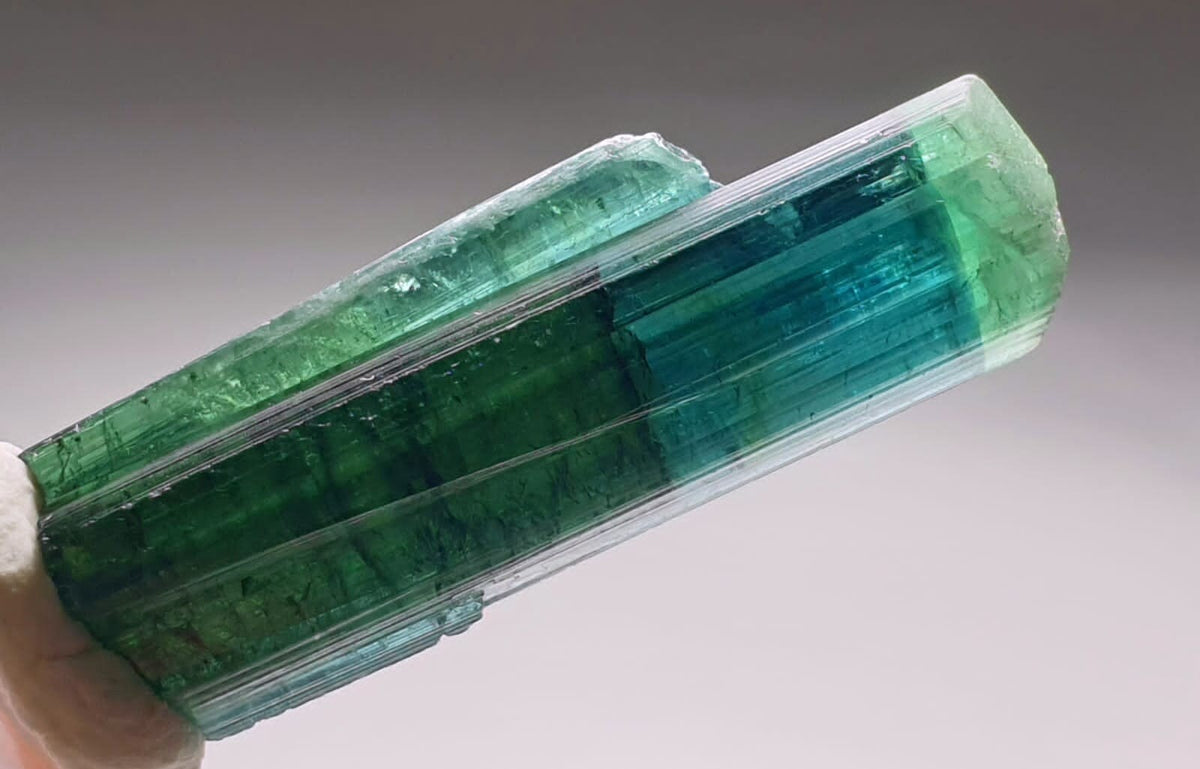 Indicolite Bi Color Terminated Tourmaline Crystal