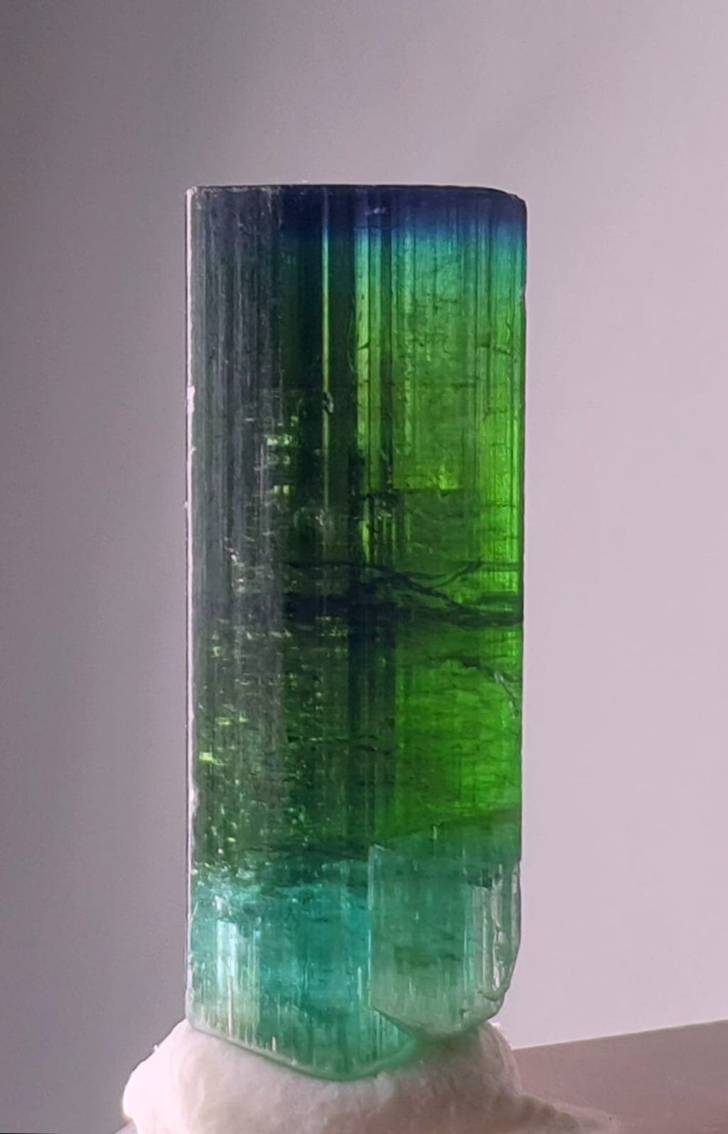 Blue Cap Bi Color Tourmaline Crystal